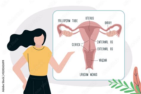 The O-spot, sometimes called the C-spot, is located near and on the cervix, deep inside the vaginal canal. (FTR, the depth of your vagina will vary from person to person, but one recent study did ...